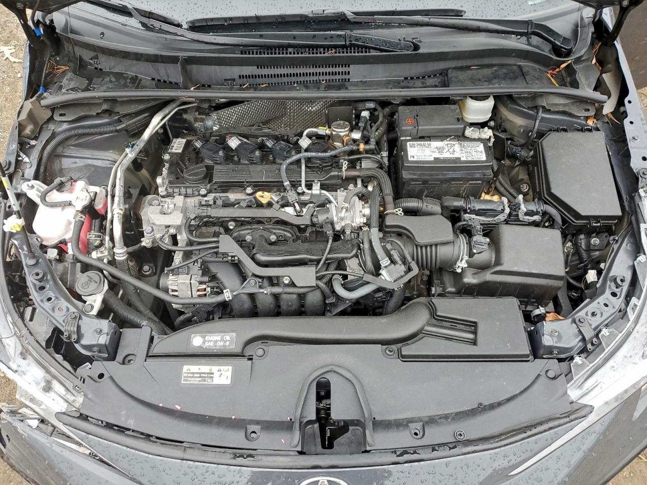 2025 TOYOTA COROLLA