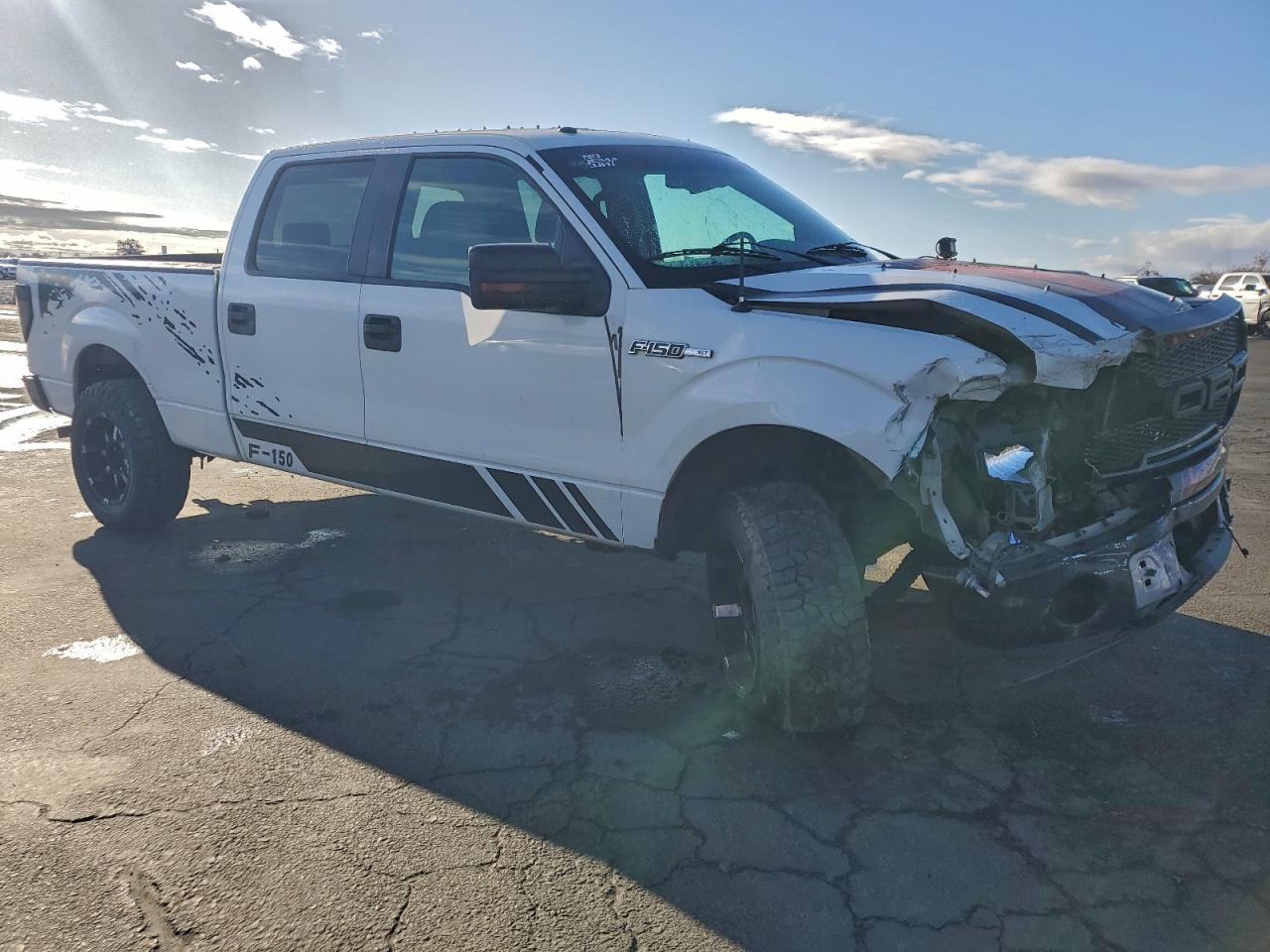 2009 FORD F-150