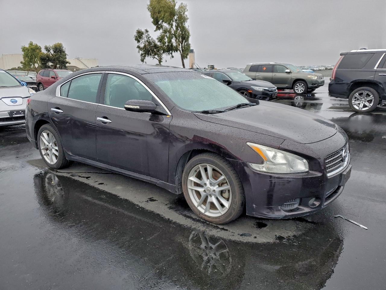 2010 NISSAN Maxima