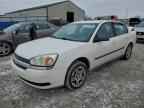 2005 CHEVROLET MALIBU