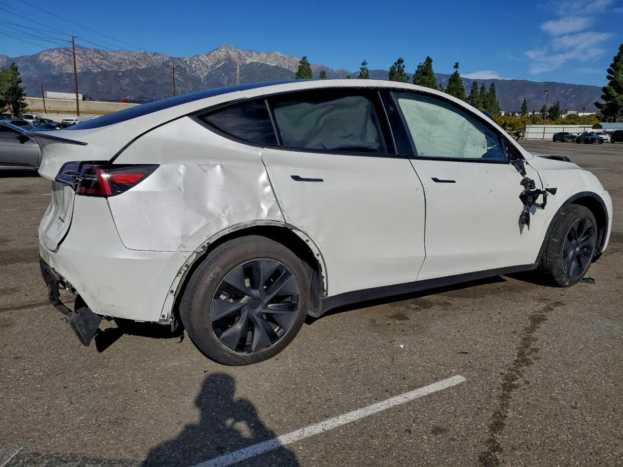 2025 TESLA MODEL Y