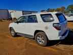 2023 TOYOTA 4Runner