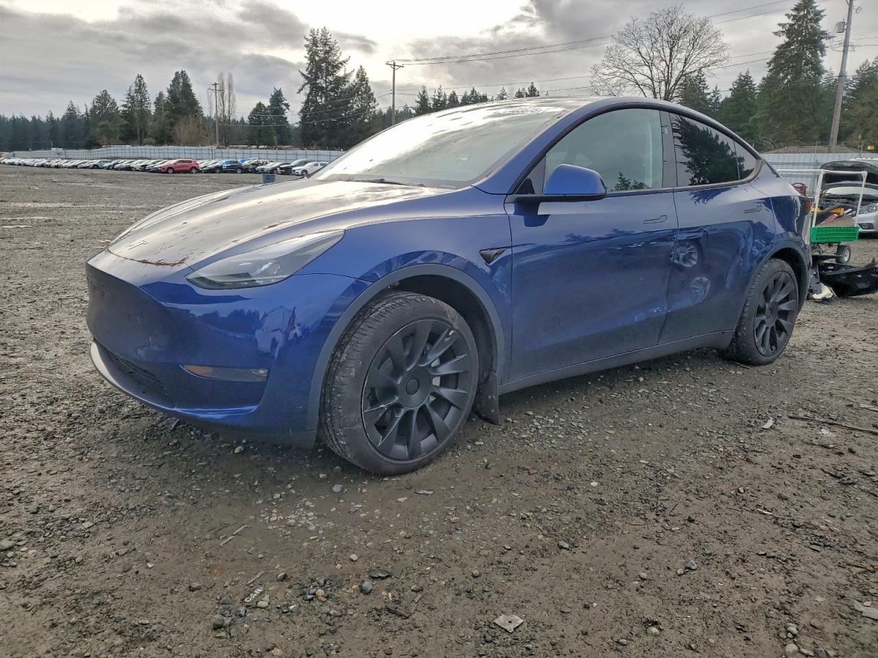 2024 TESLA MODEL Y