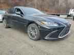 2022 LEXUS ES 300H