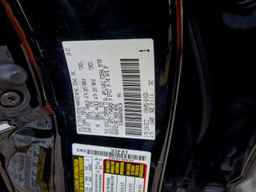 2024 TOYOTA Sequoia