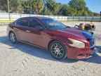 2013 NISSAN Maxima