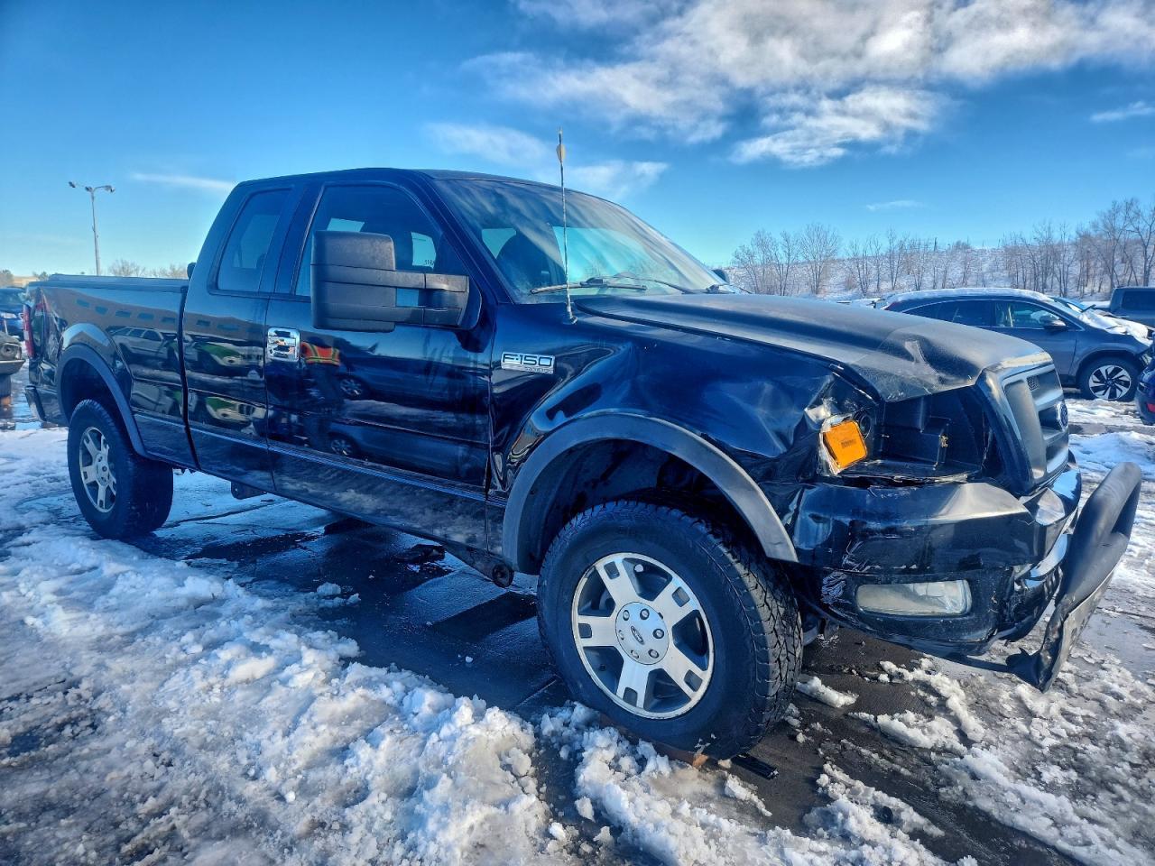2004 FORD F-150