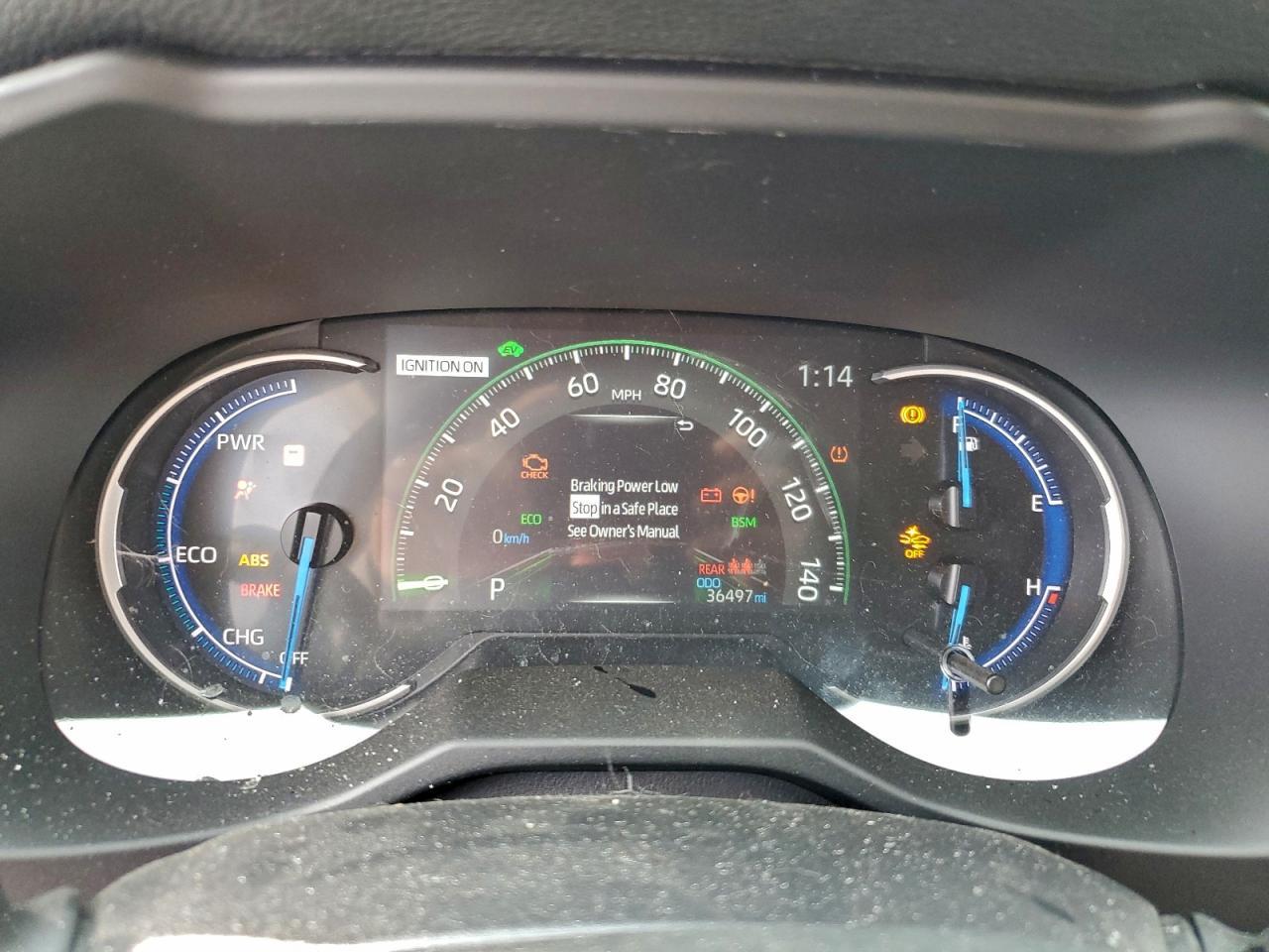 2025 TOYOTA RAV4