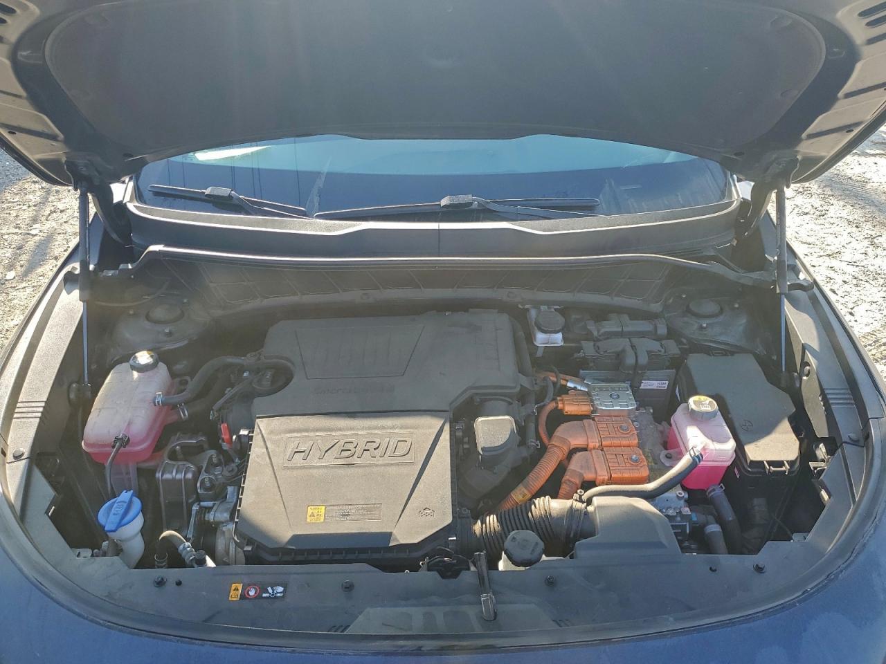 2024 KIA Niro