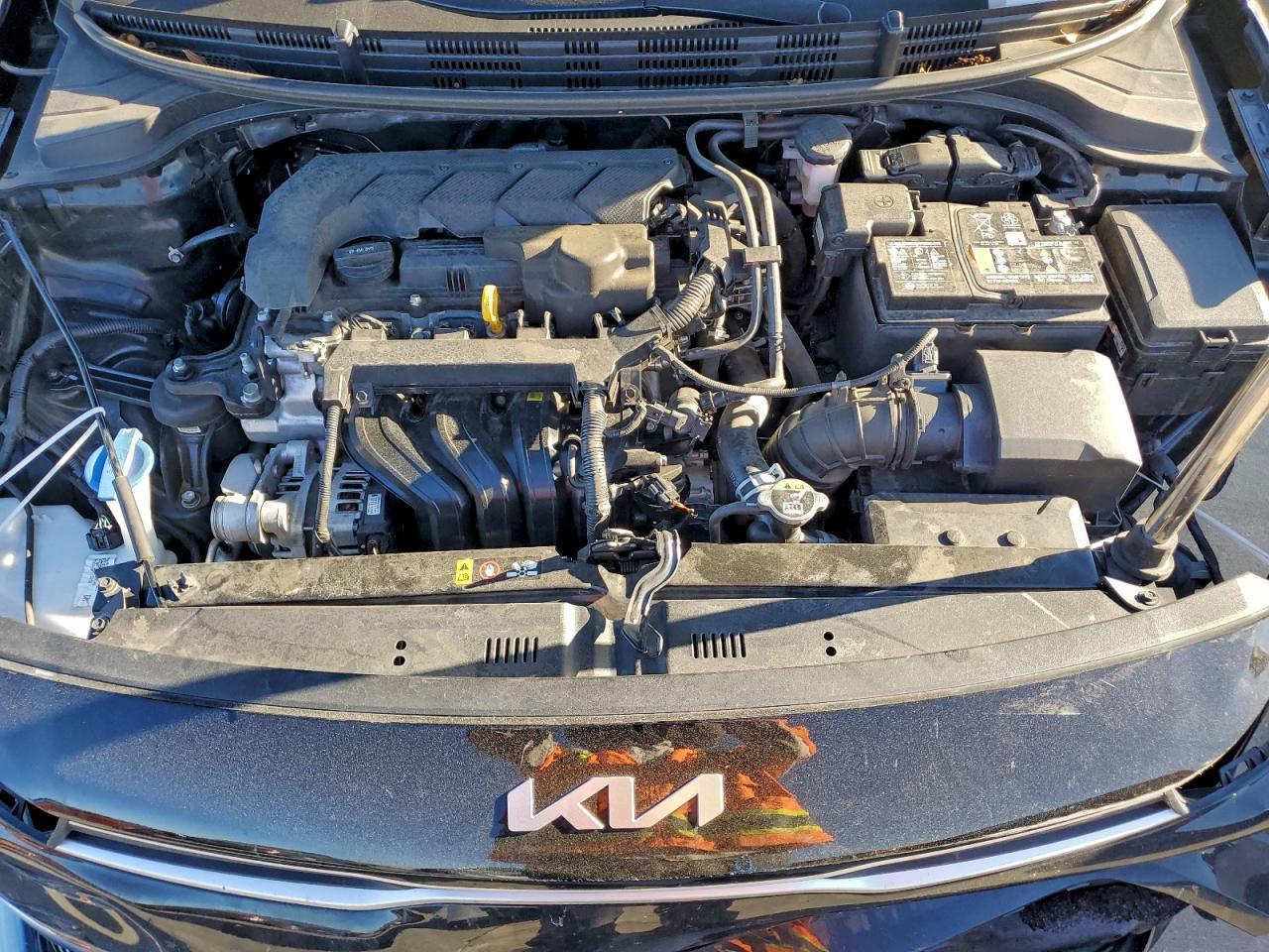 2023 KIA RIO