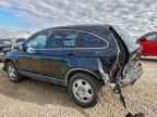 2007 HONDA CR-V