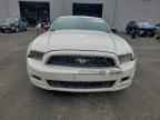 2013 FORD MUSTANG