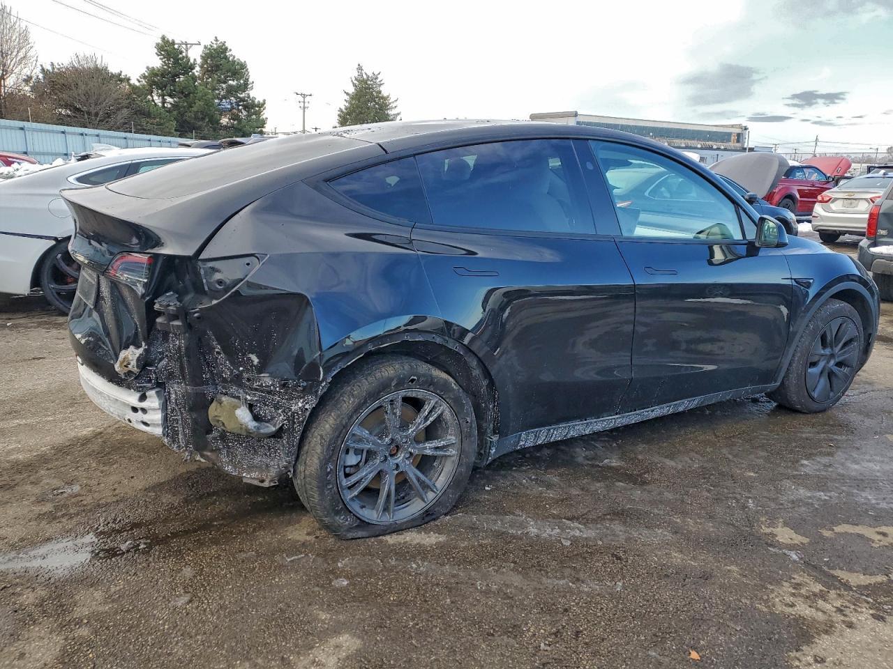 2024 TESLA MODEL Y