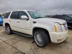 2007 CADILLAC ESCALADE