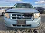 2009 FORD Escape Hybrid