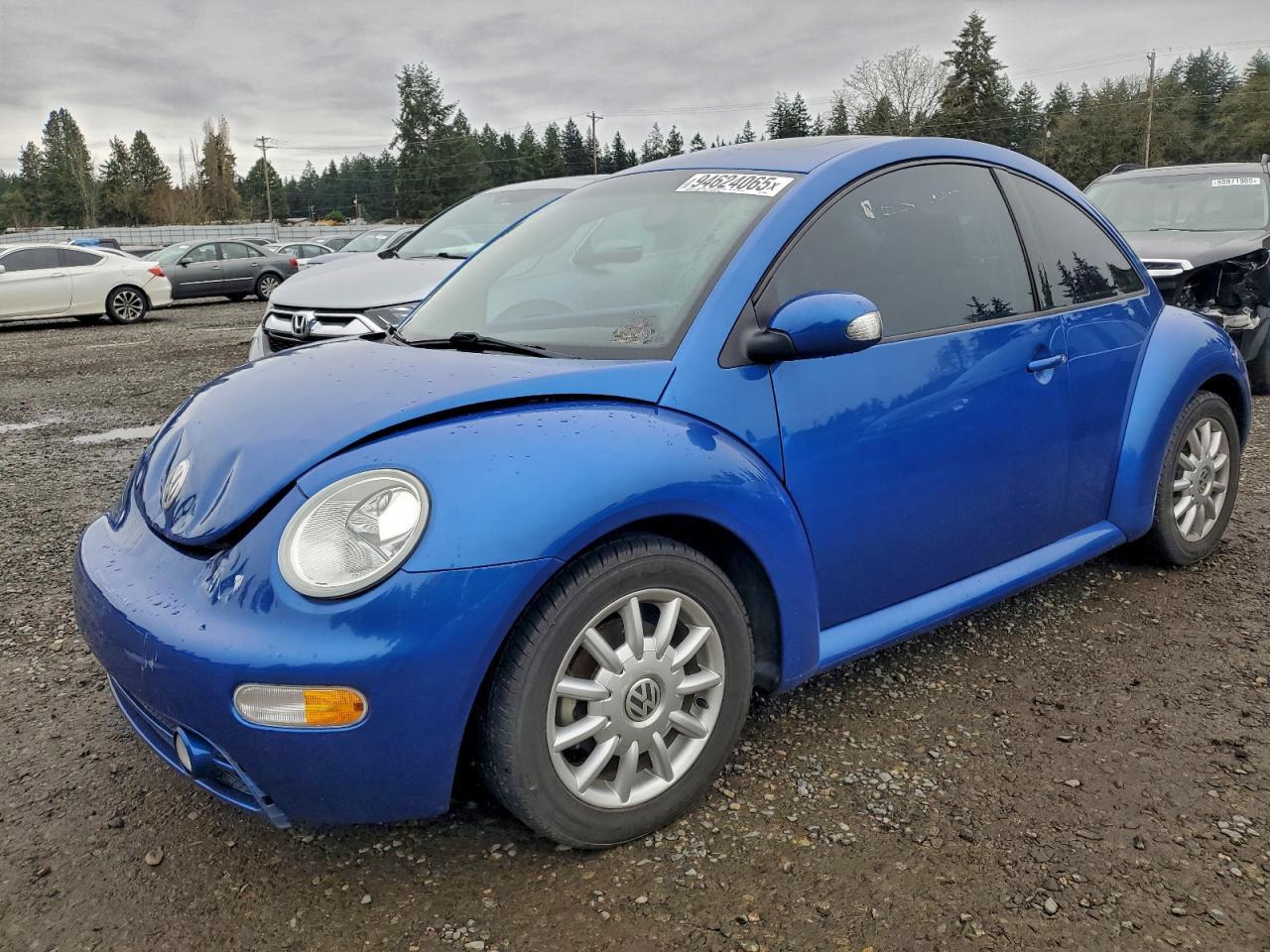 2004 VOLKSWAGEN Beetle