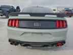 2023 FORD MUSTANG