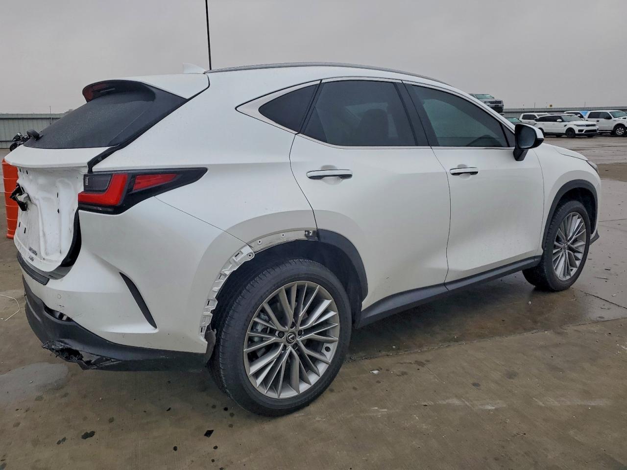 2025 LEXUS NX 350