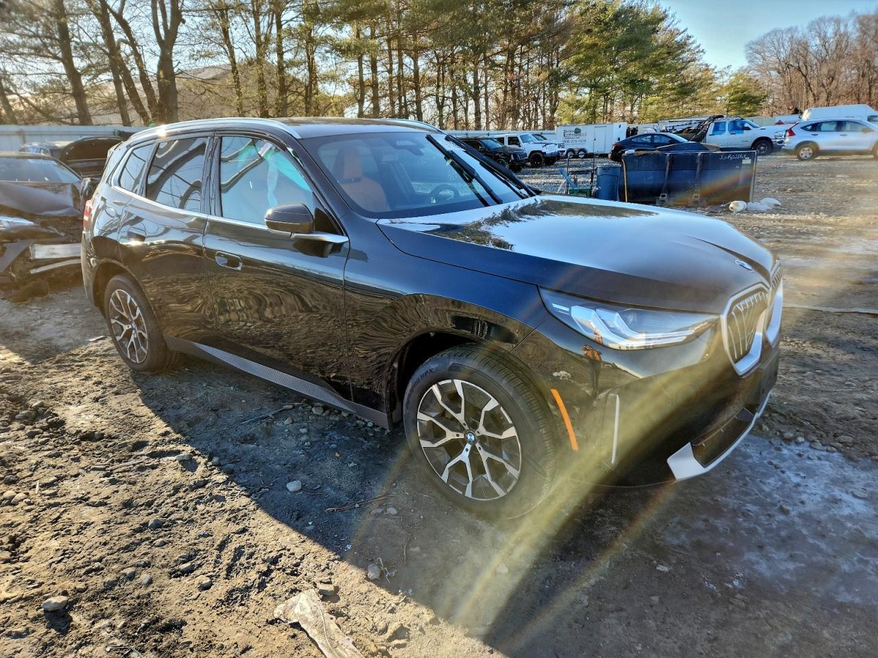 2025 BMW X3