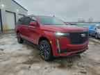 2024 CADILLAC Escalade ESV