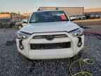 2023 TOYOTA 4Runner