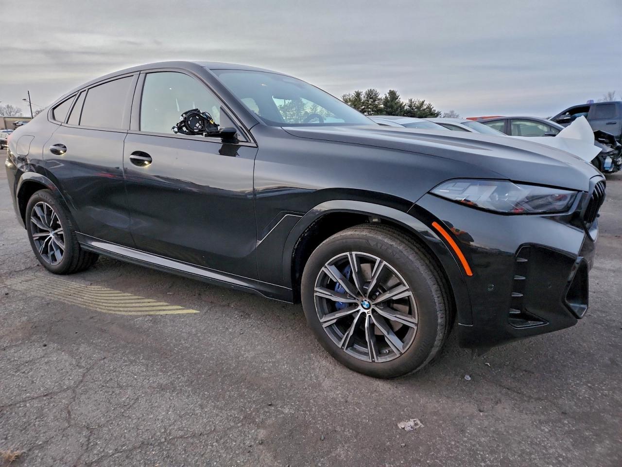 2024 BMW X6