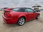2000 FORD MUSTANG