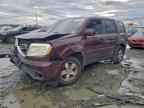 2013 HONDA PILOT