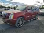 2009 CADILLAC ESCALADE