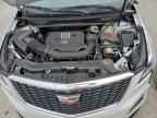 2024 CADILLAC XT5