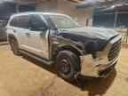 2024 TOYOTA Sequoia