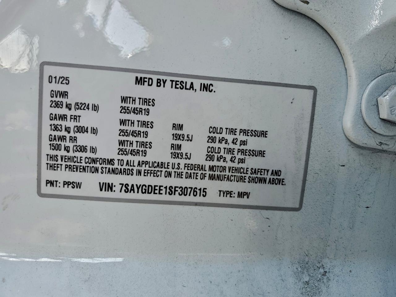 2025 TESLA MODEL Y
