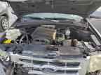 2009 FORD ESCAPE