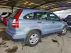 2009 HONDA CR-V