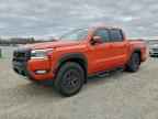 2025 NISSAN Frontier