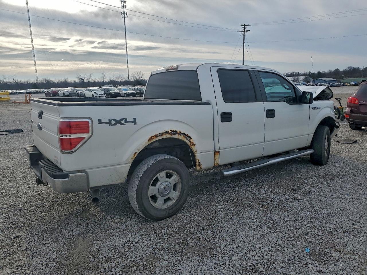 2010 FORD F-150 Lightning