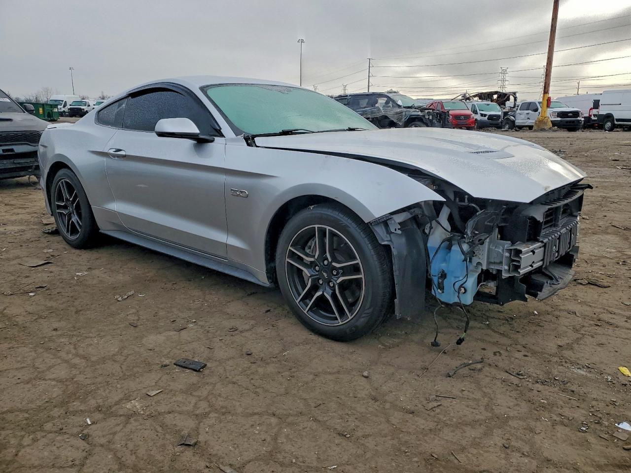 2019 FORD MUSTANG