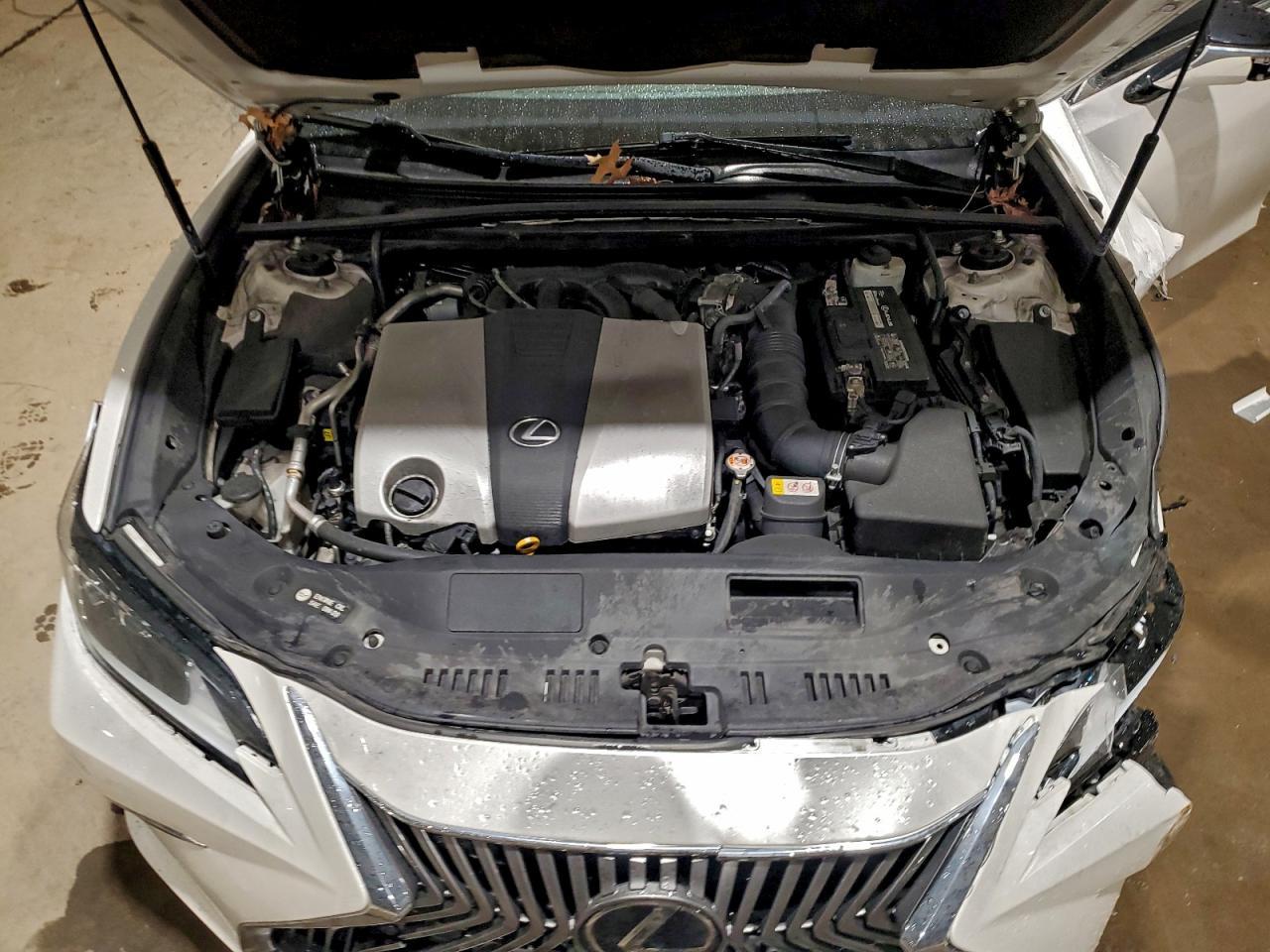 2019 LEXUS ES 350