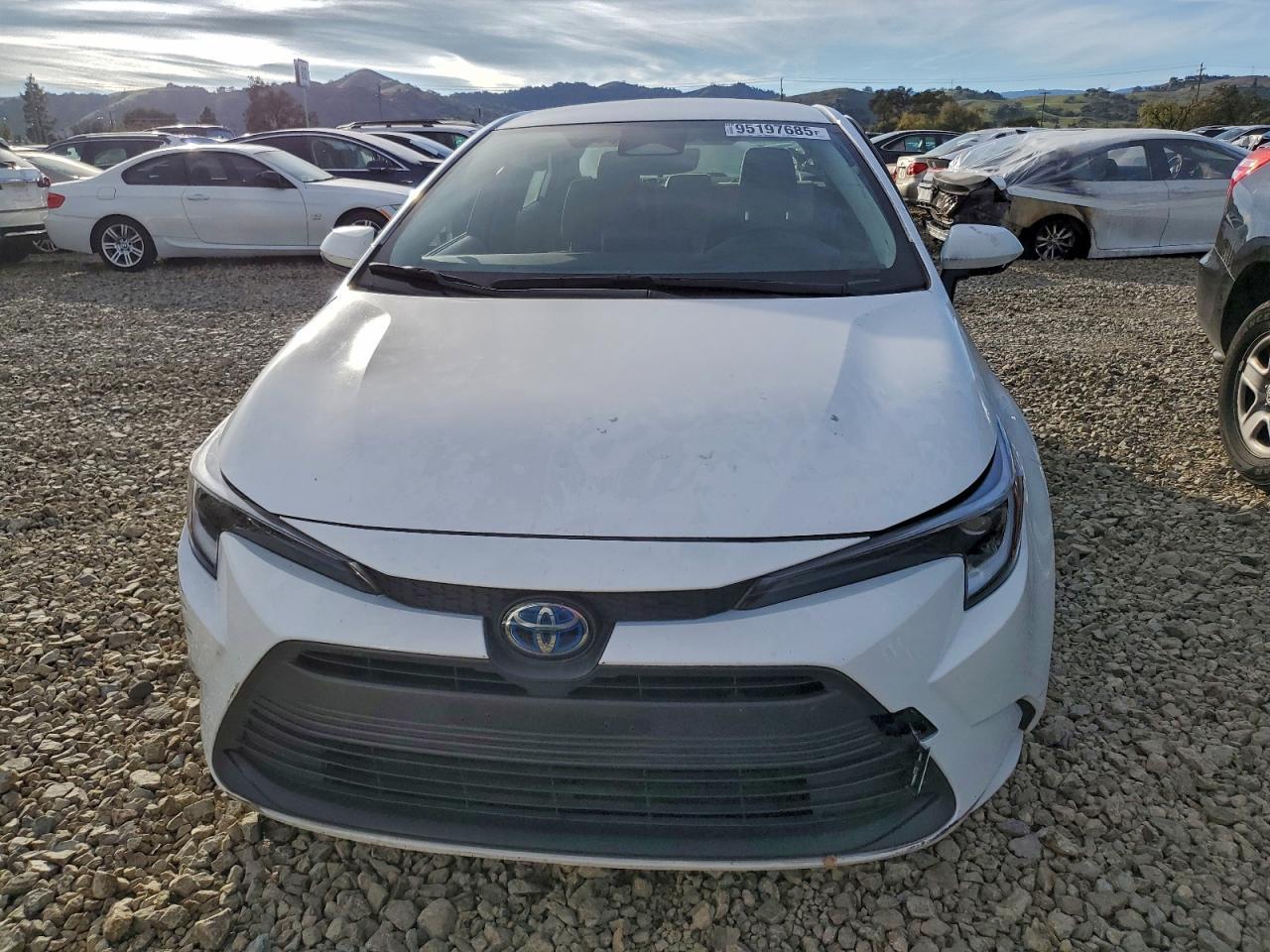 2024 TOYOTA COROLLA