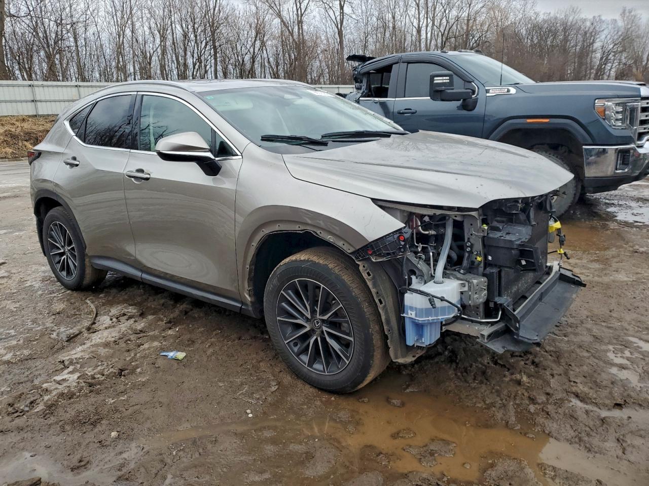 2024 LEXUS NX 350