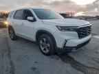 2024 HONDA PILOT