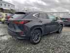2025 LEXUS NX 250