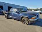 2004 DODGE Dakota