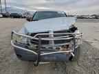 2006 DODGE Dakota