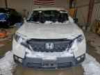 2019 HONDA Passport