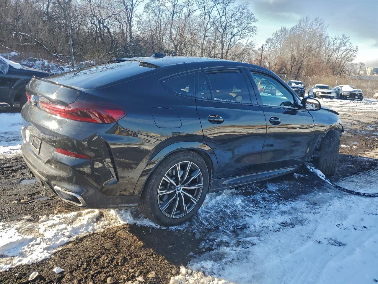 2025 BMW X6