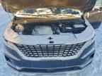2024 KIA Carnival