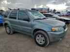 2006 FORD ESCAPE
