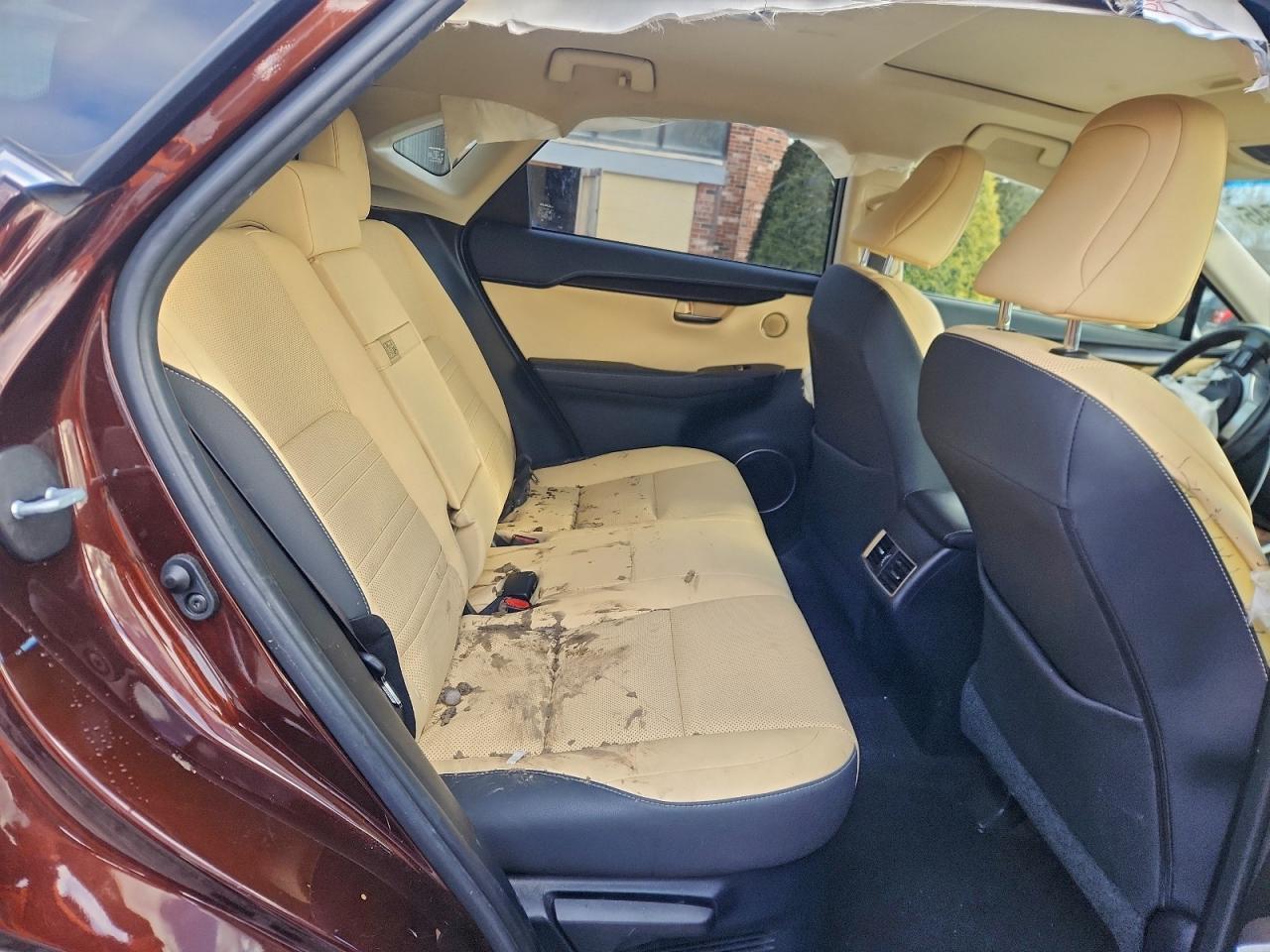 2019 LEXUS NX 300