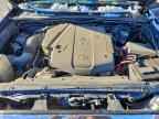 2007 TOYOTA TACOMA